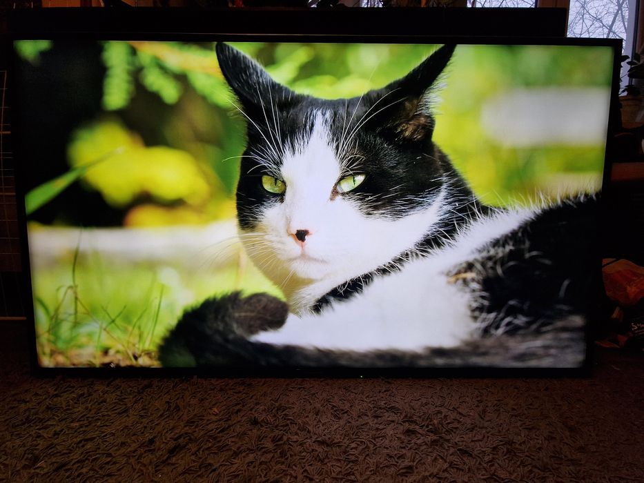 Tv Panasonic 55" 4K SMART WiFi DVBT-2 Hevc UHD HDR telewizor LED