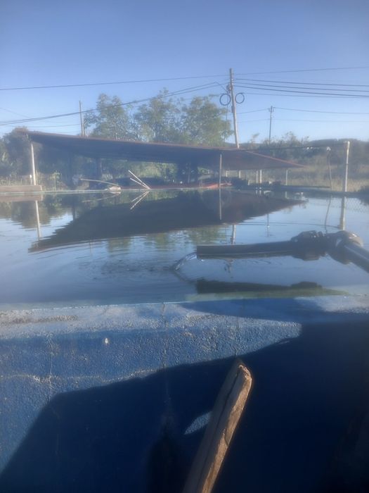 Quinta com barracao agricola Abrantes