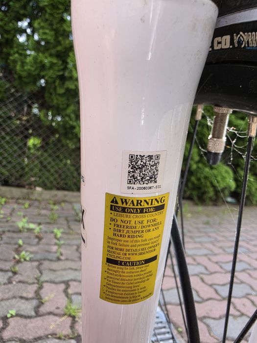 Rower elektryczny Pegasus Ancura E8R Disc.