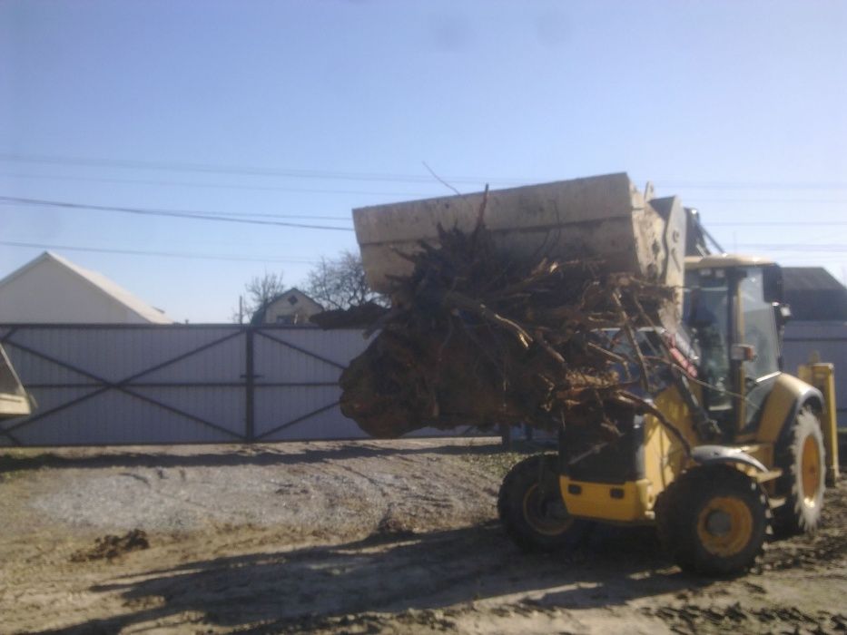 Зрізання обрізка дерев Подрібнення гілок Розчищення ділянок Демонтаж.