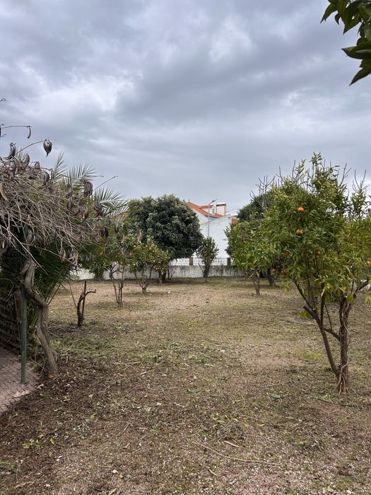 Manutenção de espaços verdes, jardinagem e limpeza de terrenos