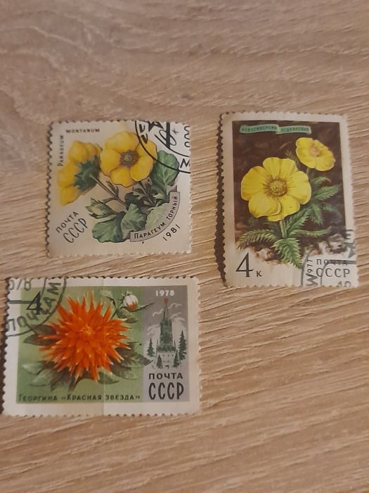Znaczki pocztowe ZSRR kwiaty 1977/78/81 rok