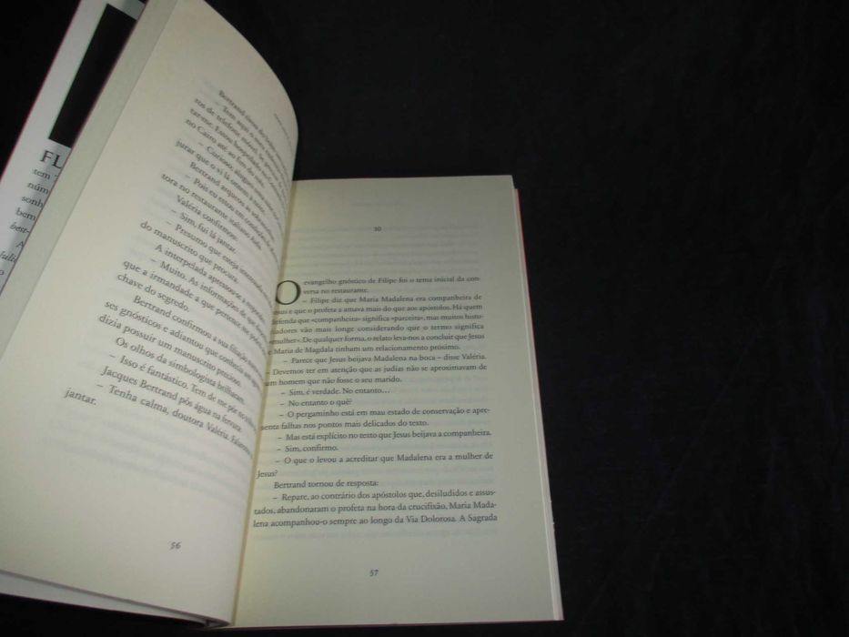 Livro Amar não é Pecado Flávio Capuleto