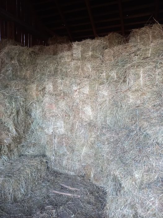 Продам тюки отави..