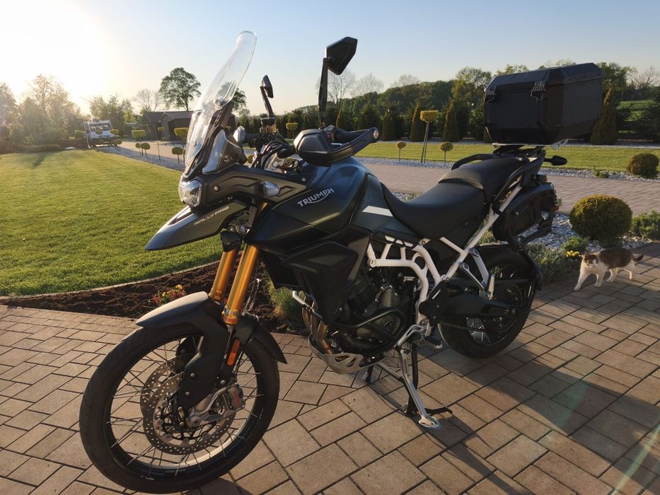 Tiger Triumph 900