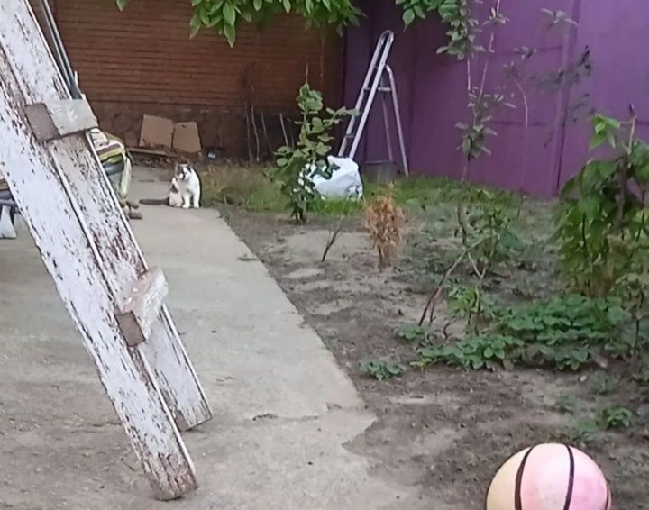 Продається половина будинку