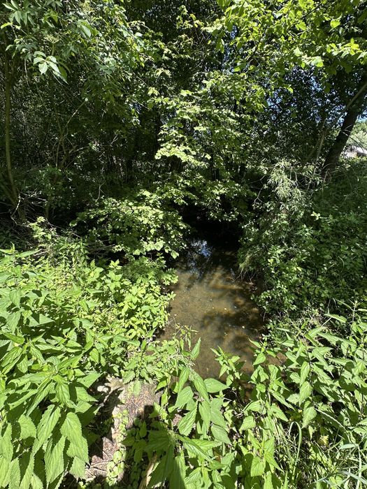 Sprzedam działkę rolną Bączal Dolny - Widok 6