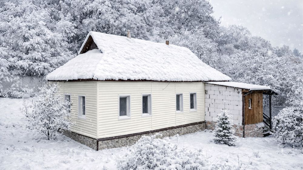 Будинок дача з ремонтом Седнев груба скважина погреб