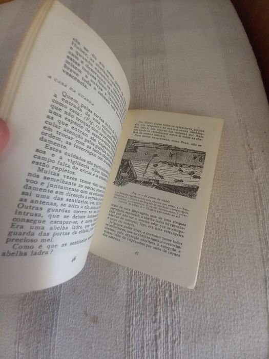 Livro antigo sobre as abelhas e o mel