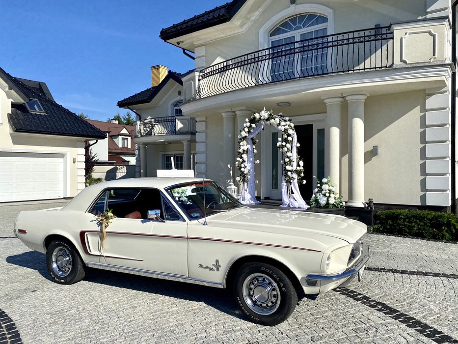 Ford Mustang 1968 - wynajmę do ślubu, sesji, eventu, imprezy okoliczn.