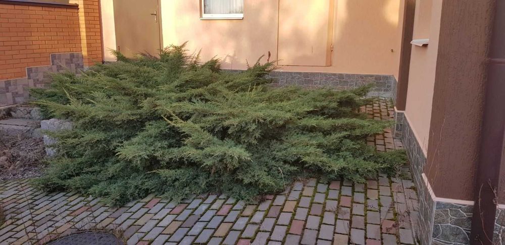 Продам Дом с ремонтом в Дергачах. 2 этажа, 156 м2, 12 соток. Баня. AN