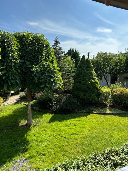 Продаж будинку  з басейном в місті Буча