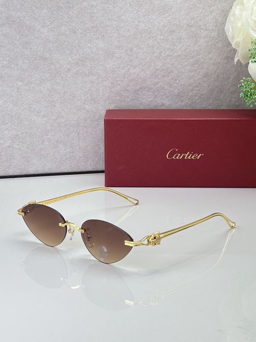 Oculos de sol Tom Ford / Celine / Cartier / MiuMiu etc