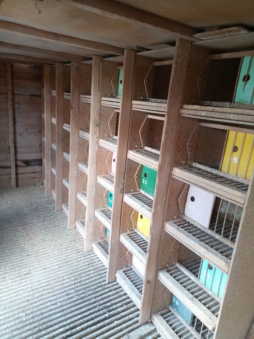 Gołębnik lotowy 5x2m gołębie pocztowe