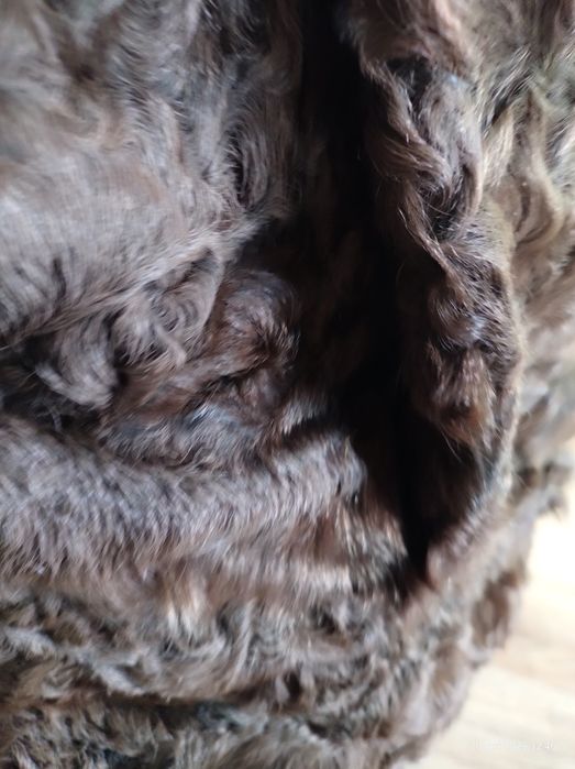 Futro z karakuł, brązowe.