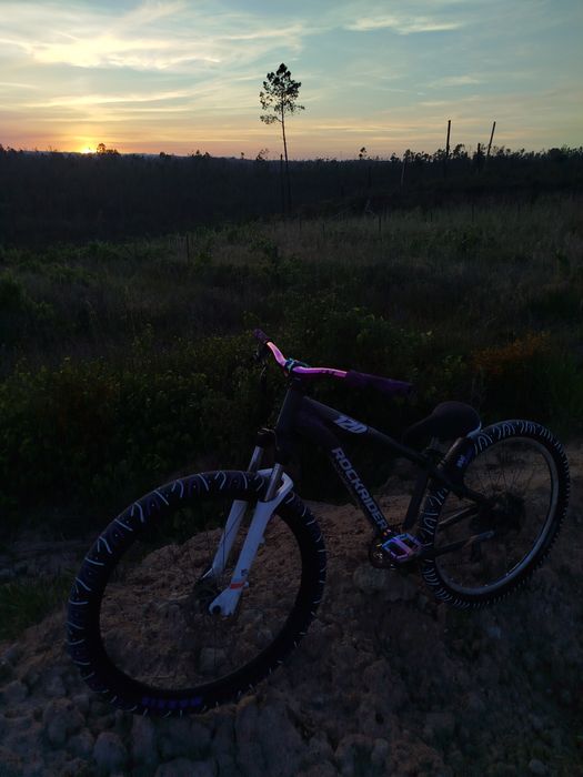 Rockrider st120 whelling