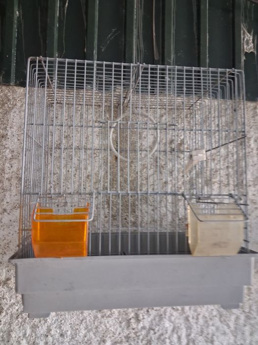 Gaiolas aves pequenas  e papagaios