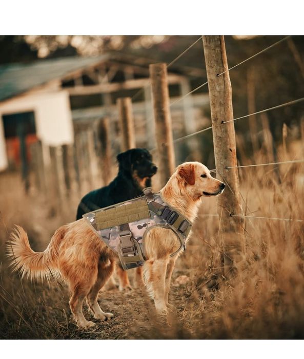 Szelki taktyczne dla psa ze smycza róż S