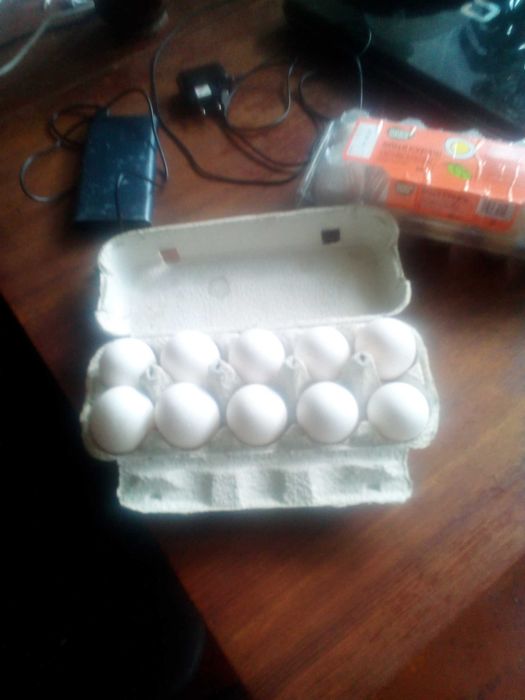 домашні курячи яйца