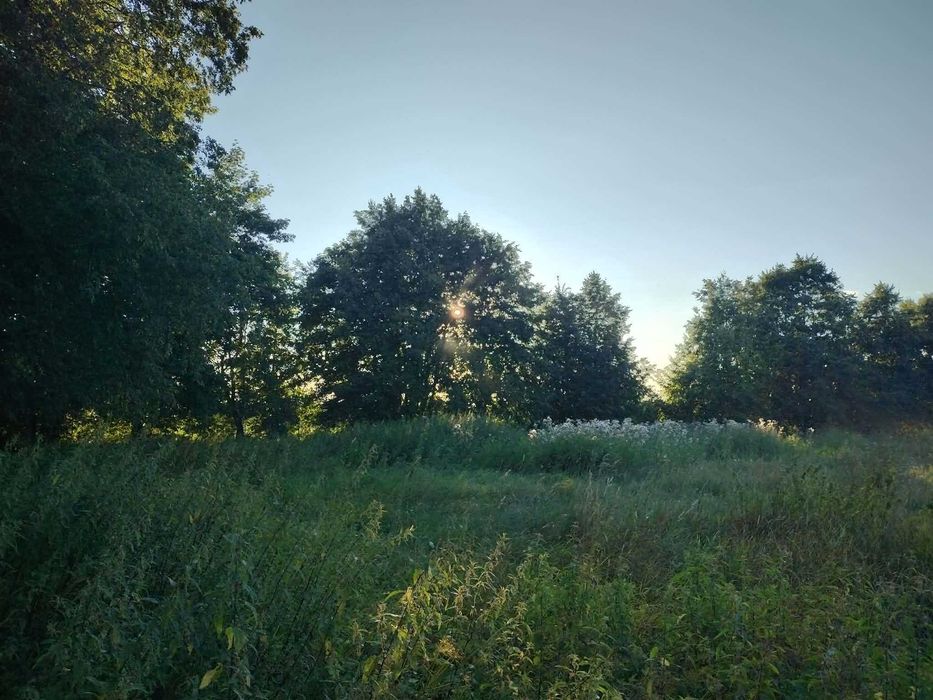 Działka rolno-budowlana Mazury 4400 m² Nowe Drygały gm. Biała Piska, nad lasem, niedaleko jeziora i plaży, warunki zabudowy dom+budynek gospodarczy - Więcej