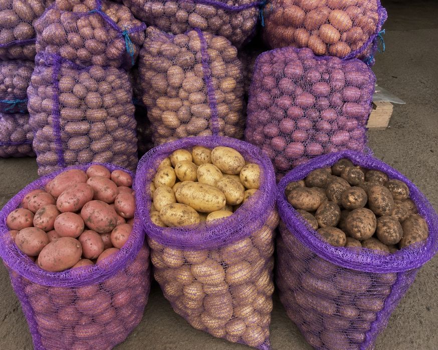 Продам картошка опт
