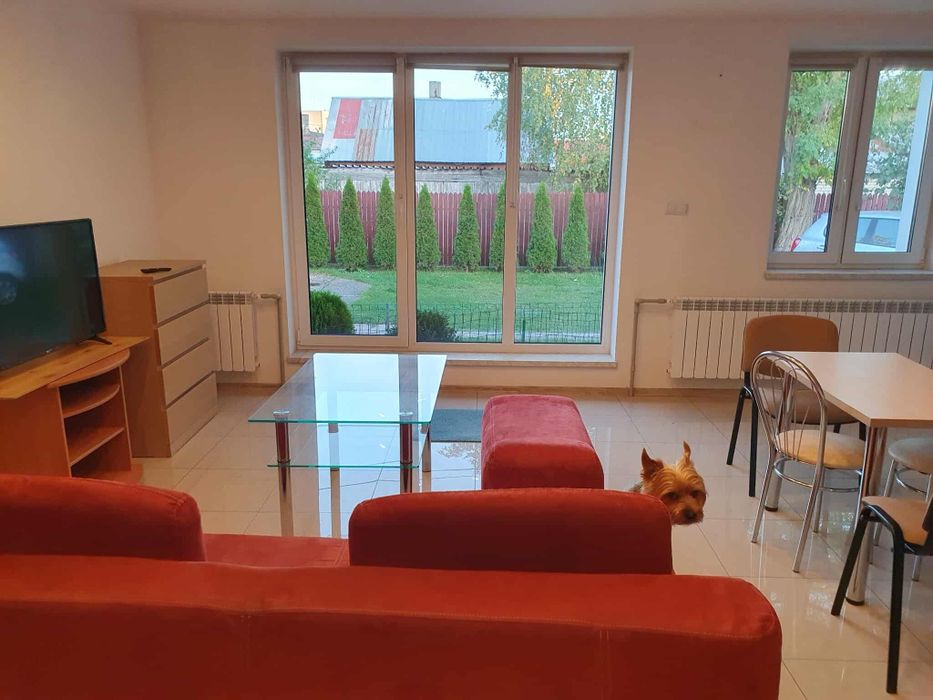 Wynajmę mieszkanie w podworku