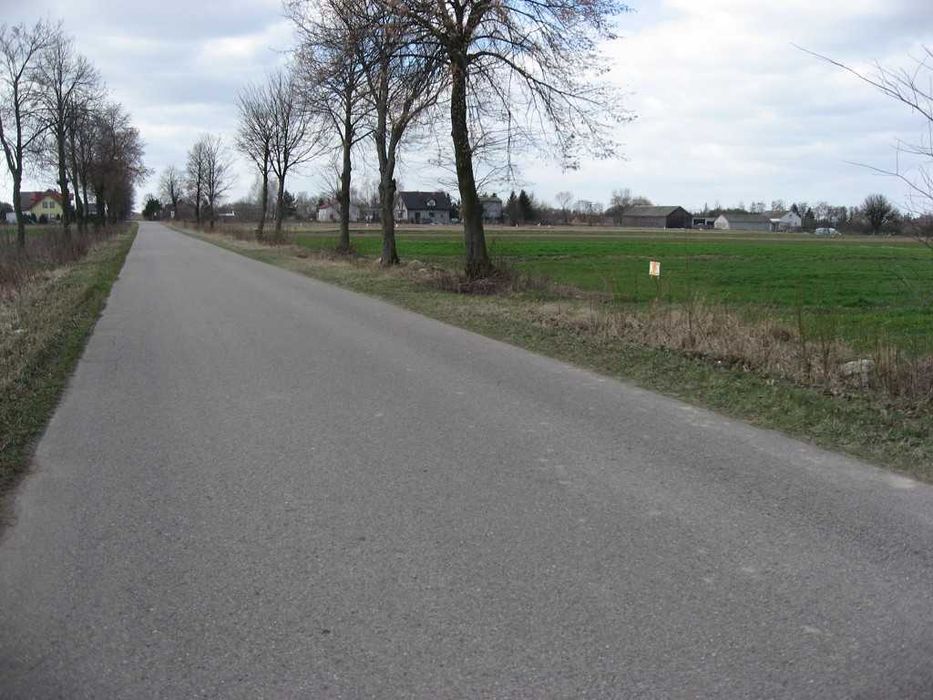 Działka budowlana 1000 m² Warunki zabudowy Droga asfaltowa BEZPOŚREDNIO - Widok 4