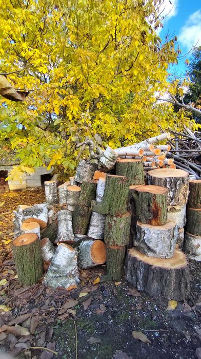 sprzedam drzewo na opał, drzewo opałowe