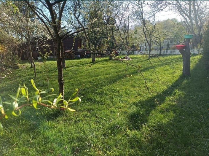 Sprzedam dużą działkę ROD 470 m² - Widok 4