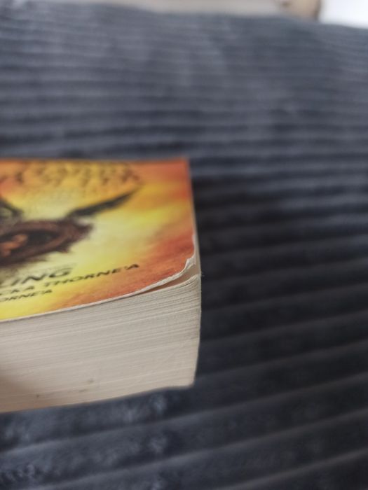 Książka Harry Potter