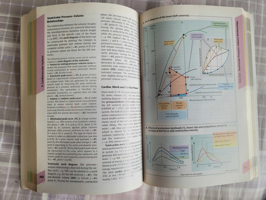 Livro Medicina "Color Atlas of Physiology" das colecções da Thieme
