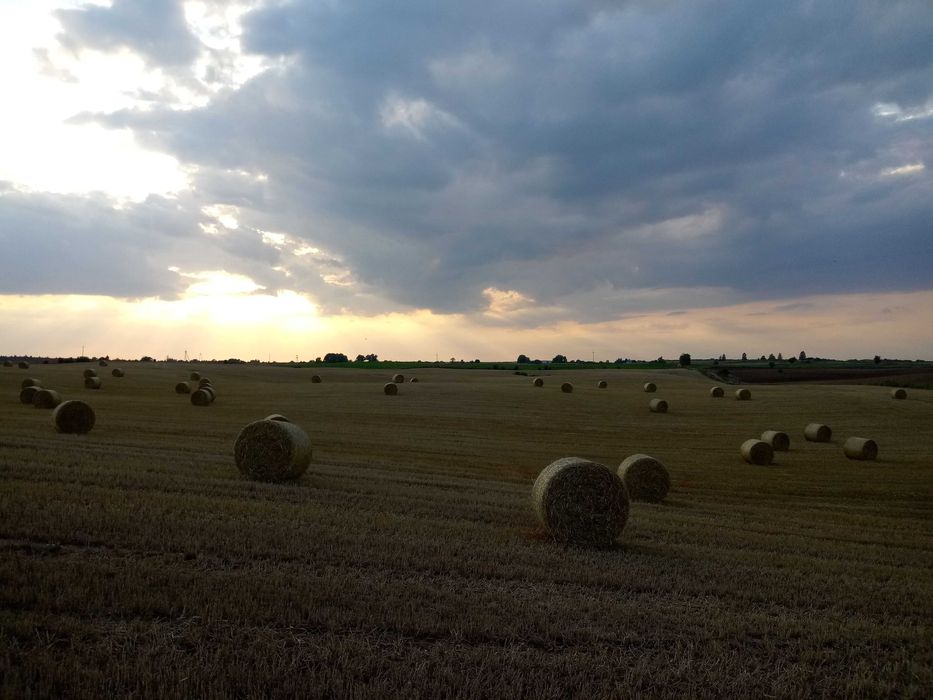 Nowe Guty 102 - domki letniskowe nad Śniardwami - Mazury