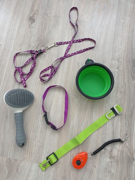 Миска для собак, щетка