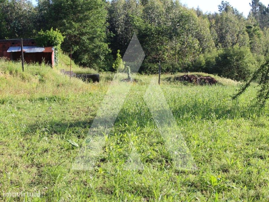Terreno para construção em Paradela - Sever do Vouga — Sever do Vouga, Aveiro