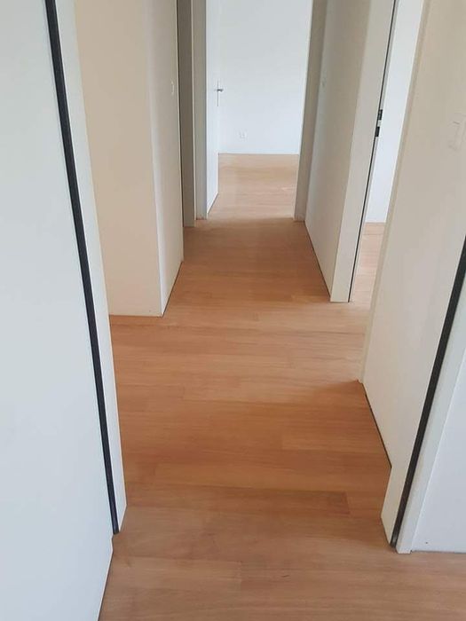 Afagador /polidor de parquet64639685664129124