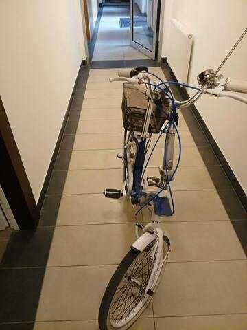 Sklsdak 20" Wloski Graziella