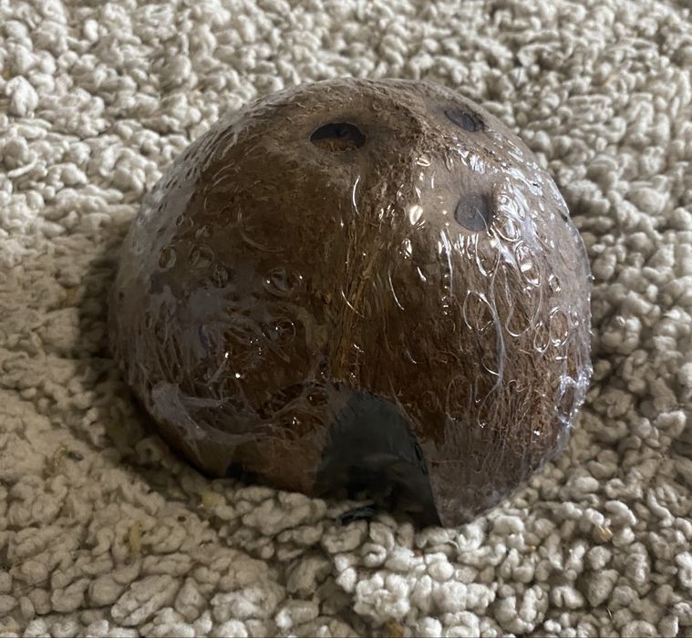 Acessorios para roedores