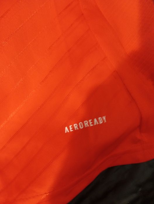 Camisola oficial do Benfica tamanho nova