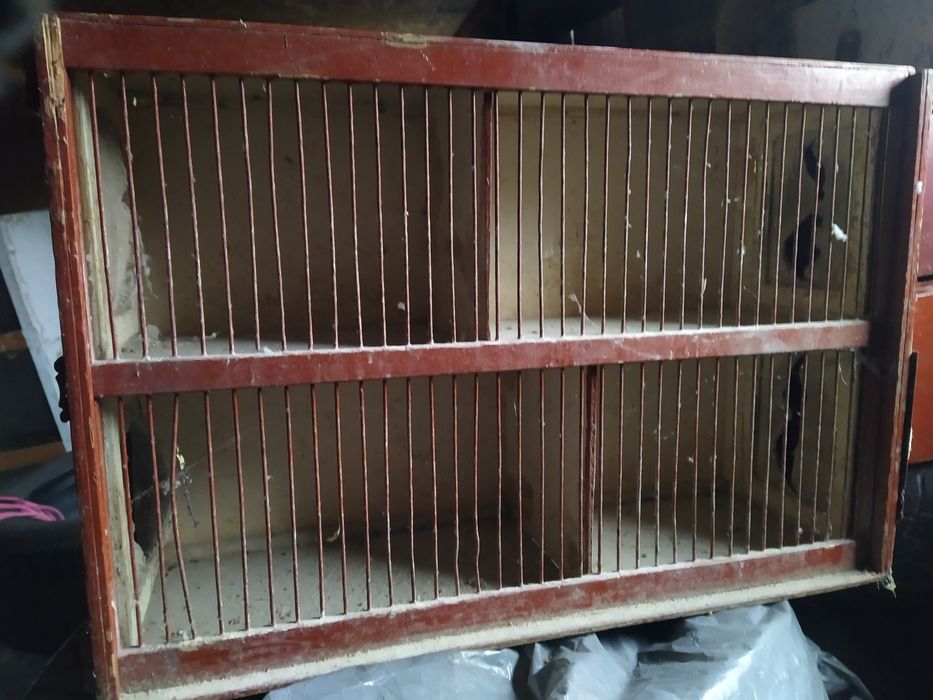 Klatki transportowe/wystawowe