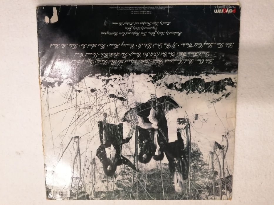 Disco Vinil