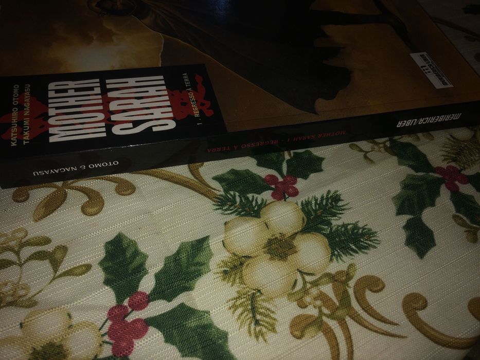 Mother Sarah:  A Cidade das Crianças