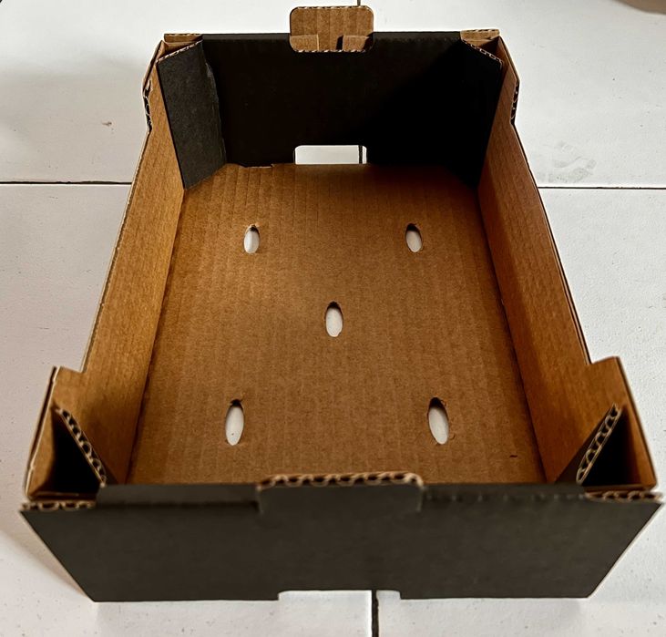 Caixa cartão automontável para fruta