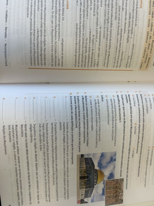 Livro Caderno atividades história 7 fio da história