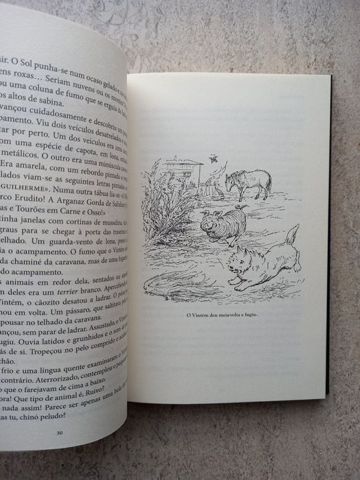 A Caravana Encantada, Beatrix Potter