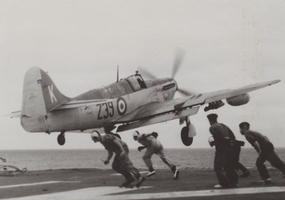 ФАЙЕРФЛАЙ, ФР-1 сборная модель самолета 1/72