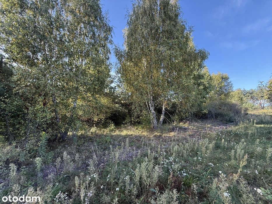 Urokliwa działka w Grabszczyźnie gm. Strachówka 1361m2 1h od Warszawy