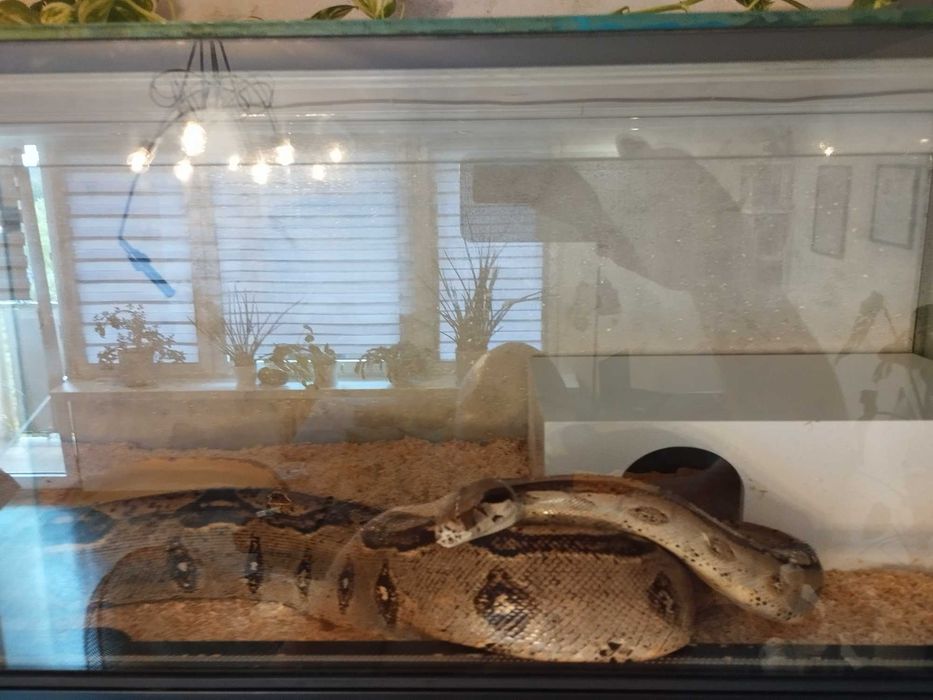 Sprzedam Terrarium
