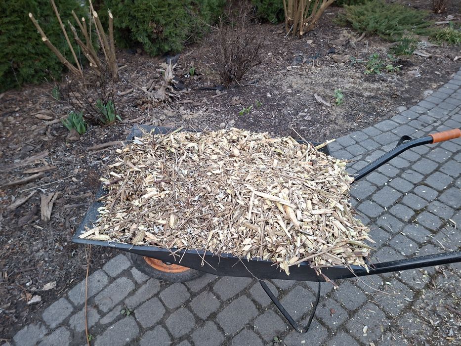 Zrębkowanie gałęzi, rębak z dojazdem