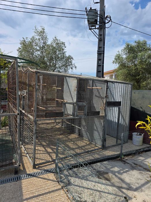 Módulos de varias gaiolas e viveiros para Pássaros