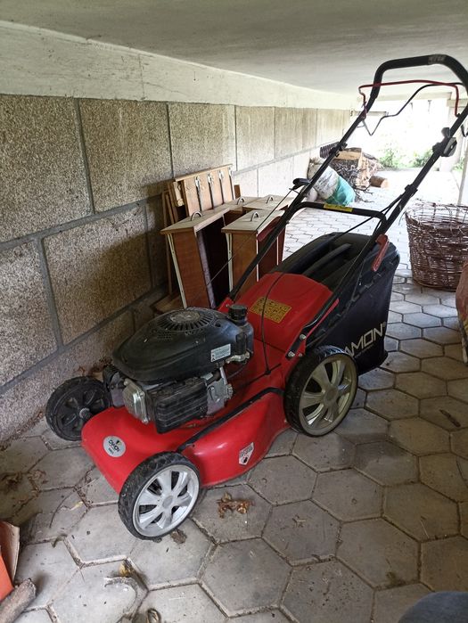 Corta relva a gasolina 50cm